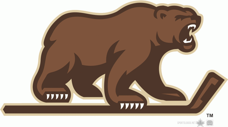 Hershey Bears 2012 13-Pres Alternate Logo v2 iron on transfers for clothing